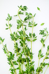 Macro image of bunch of fresh thyme on white background