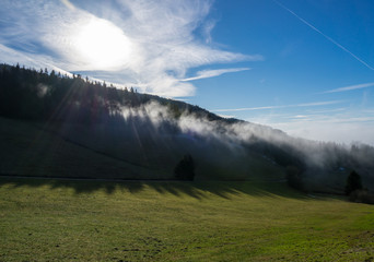 Germany, Remote path through black forest nature landscape with sunrays coming through fog