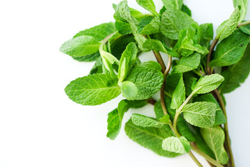 Close up of fresh mint leaves on white background. Selective focus