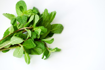 Overhead view of fresh mint leaves on white background with copy space