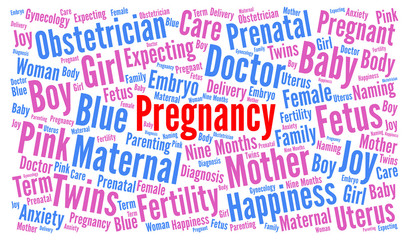 Obraz premium Pregnancy word cloud
