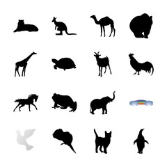 icon Animal with travel, animal, transportation, bear and race