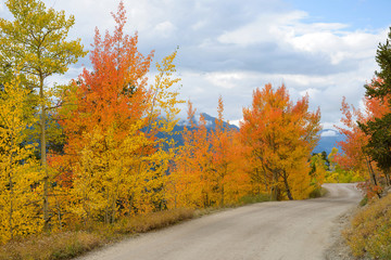 Autumn Mountain Road - Colorful Autumn mountain road -- Boreas Pass, near Breckenridge, Colorado, USA.