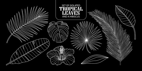Set of isolated tropical leaves in 8 styles. - obrazy, fototapety, plakaty