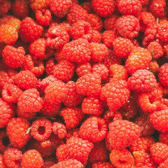 Fresh Red Sweet Berries Raspberries Background.