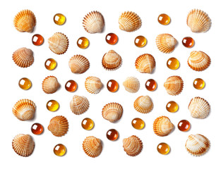 Pattern made of shells and orange glass beads isolated on white background