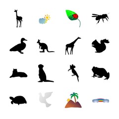icon Animal with bird, frog, honeybee, young and image