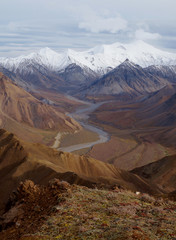 デナリ国立公園、アラスカ
