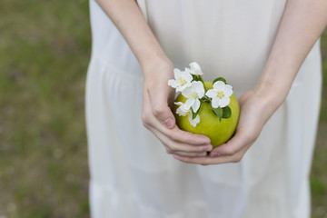 The hands of a teenage girl wearing a white dress are carefully kept by a green apple with white flowers blooming apple trees