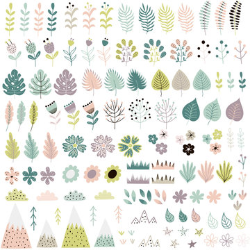 Cute flowers and plants big collection. Vector illustration