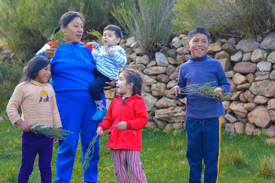 Happy native american family showing typical peruvian plant called tipollo.