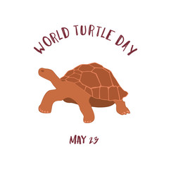 May 23 - World Turtle Day