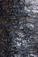 Cracked shale wall with ice and snow. 