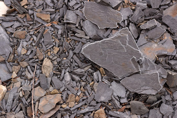 Cracked shale chips abstract texture background. 