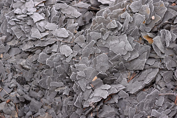 Cracked shale chips abstract texture background. 