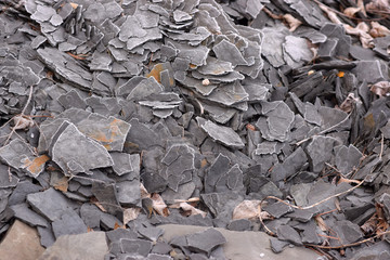 Cracked shale chips abstract texture background. 