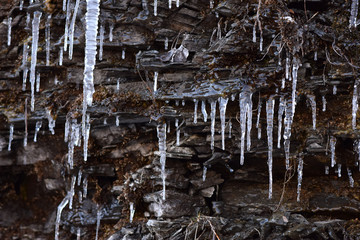 Icicles on a broken shale wall. 