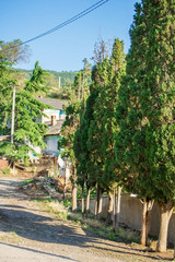 Landscape in a mountain village in the summer.