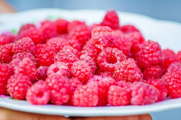Plate with raspberries in the summer.