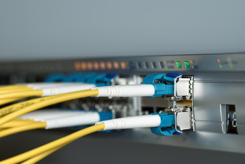 Optical cables connected with switch - macro photo with shallow depth of field.