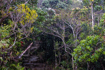 Fototapeta premium kinabalu