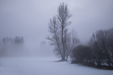 Paisaje nevado nublado con árbol