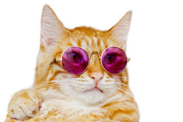 Portrait en gros plan d& 39 un drôle de chat roux portant des lunettes colorées isolées sur blanc
