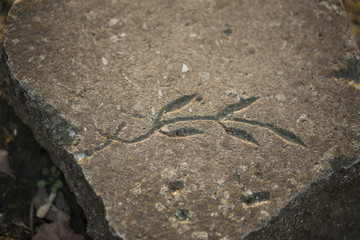 drawing textured old stone crack