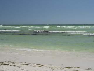 Honeymoon Island state park beach in Florida