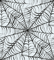 Fototapeta premium Web. Vector drawing