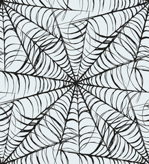 Web. Vector drawing