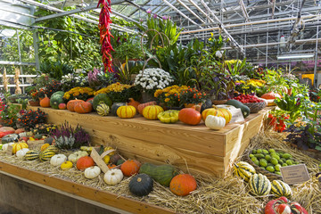 Autumn exhibition of fruits and vegetables.
