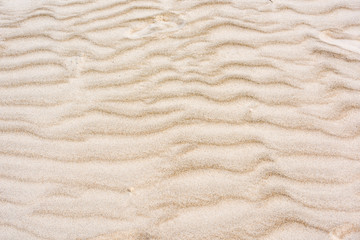 Naklejka na ściany i meble Sand texture. Sandy beach for background. Top view