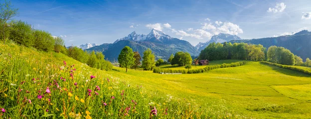 Fotobehang Prachtig zomers landschap in de Alpen met bloeiende weiden in het voorjaar © JFL Photography