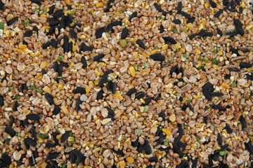 A Dried Food Animal Mix of Cereals and Seeds.