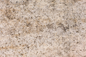 Asbestos slate texture concrete covered with lichen and moss	