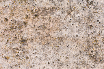Asbestos slate texture concrete covered with lichen and moss	