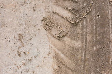 Asbestos slate texture concrete covered with lichen and moss	