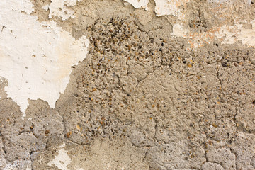 Asbestos slate texture concrete covered with lichen and moss	