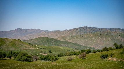 Fototapeta premium Landscape