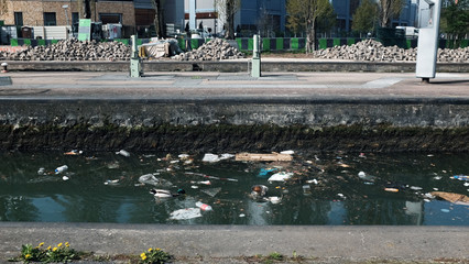 duck with pollution 