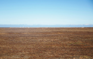 ポイント・ホープ、墓、アラスカ
