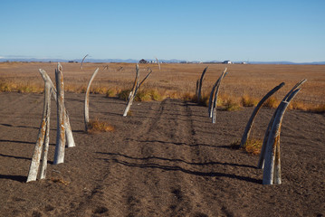ポイント・ホープ、アラスカ
