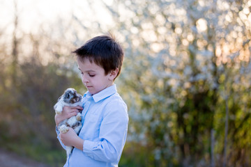 Preschool child, cute boy, playing with little rabbit outdoors