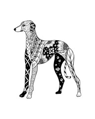 Greyhound dog zentangle stylized. Freehand vector illustration.