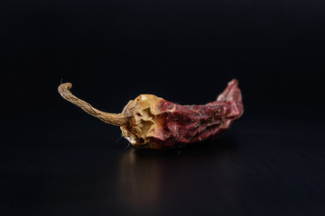 Chili pepper on a dark background