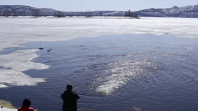 early spring. on the river ice and water. A stormy fountain and floating ducks. on the horizon of the mountain. people take pictures and feed ducks.