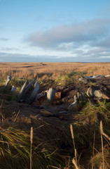 ポイント・ホープ、アラスカ
