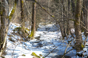 kleiner Bach im Winter