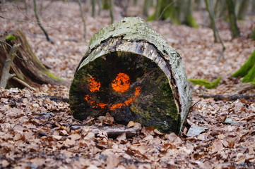 Ein geschnittener Baumstumpf mit einem Smiley Gesicht